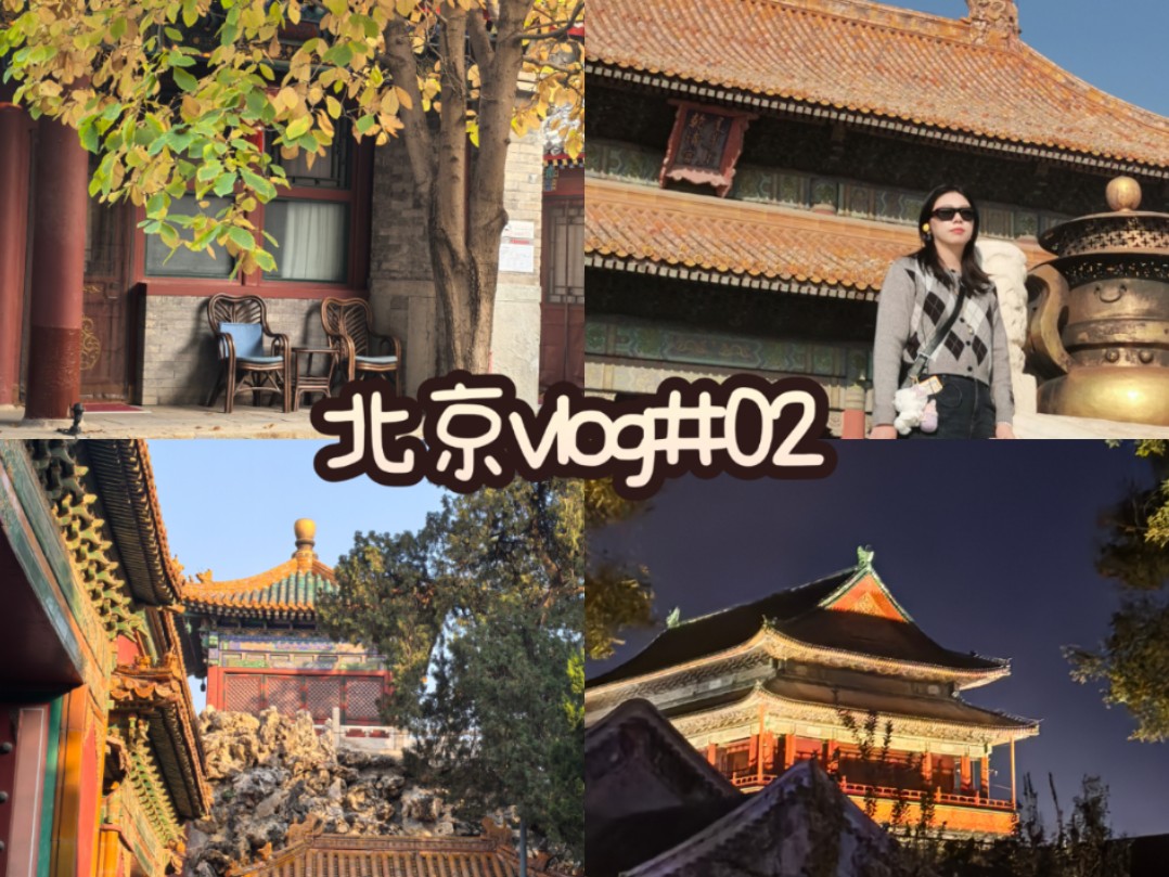 北京vlog#02❤|北京的秋天是五彩斑斓的|三来北京才去故宫|23000步创下步数记录|超好次的老北京儿涮肉|住在四合院酒店是什么体验哔哩哔哩bilibili