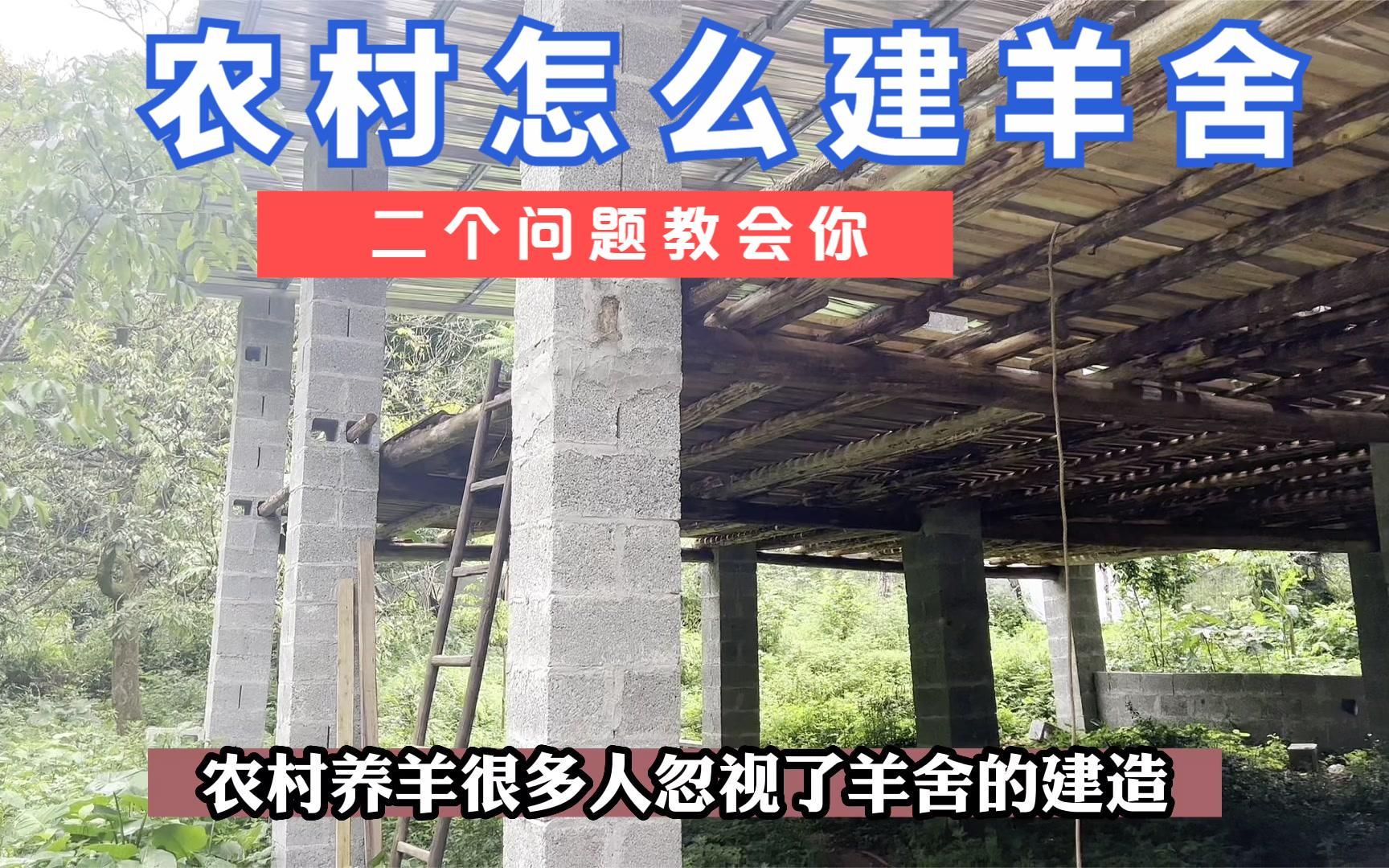 农村羊舍怎么建,二个问题教会你