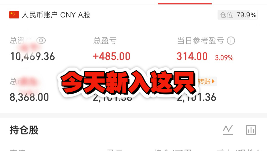 今天新入这只