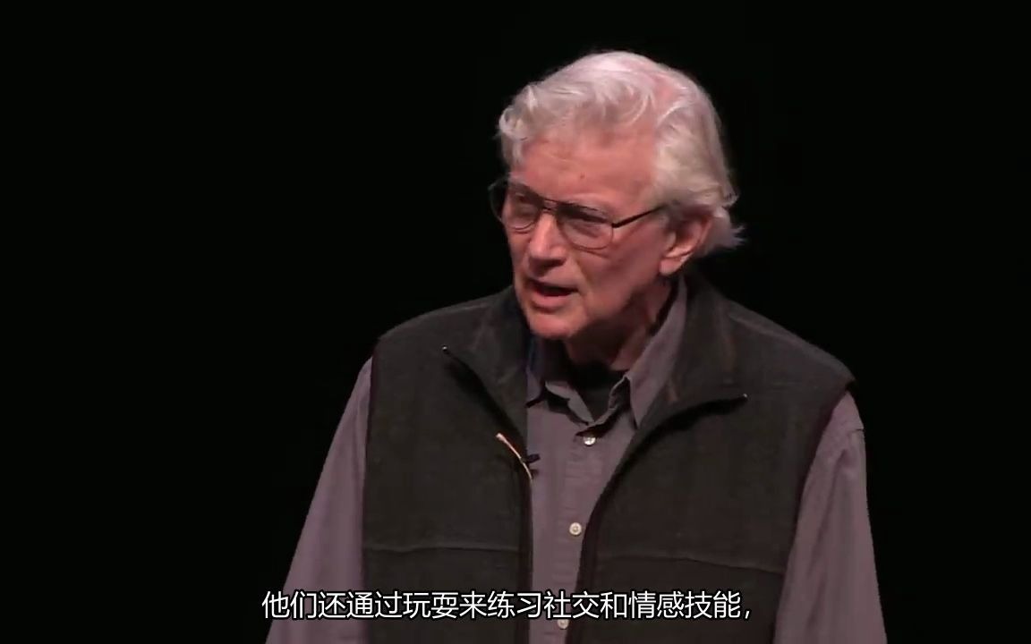 [图]TED 自由游戏的减少对于孩子们的重大影响：焦虑、抑郁、无助、自恋等（The decline of play - Peter Gray）