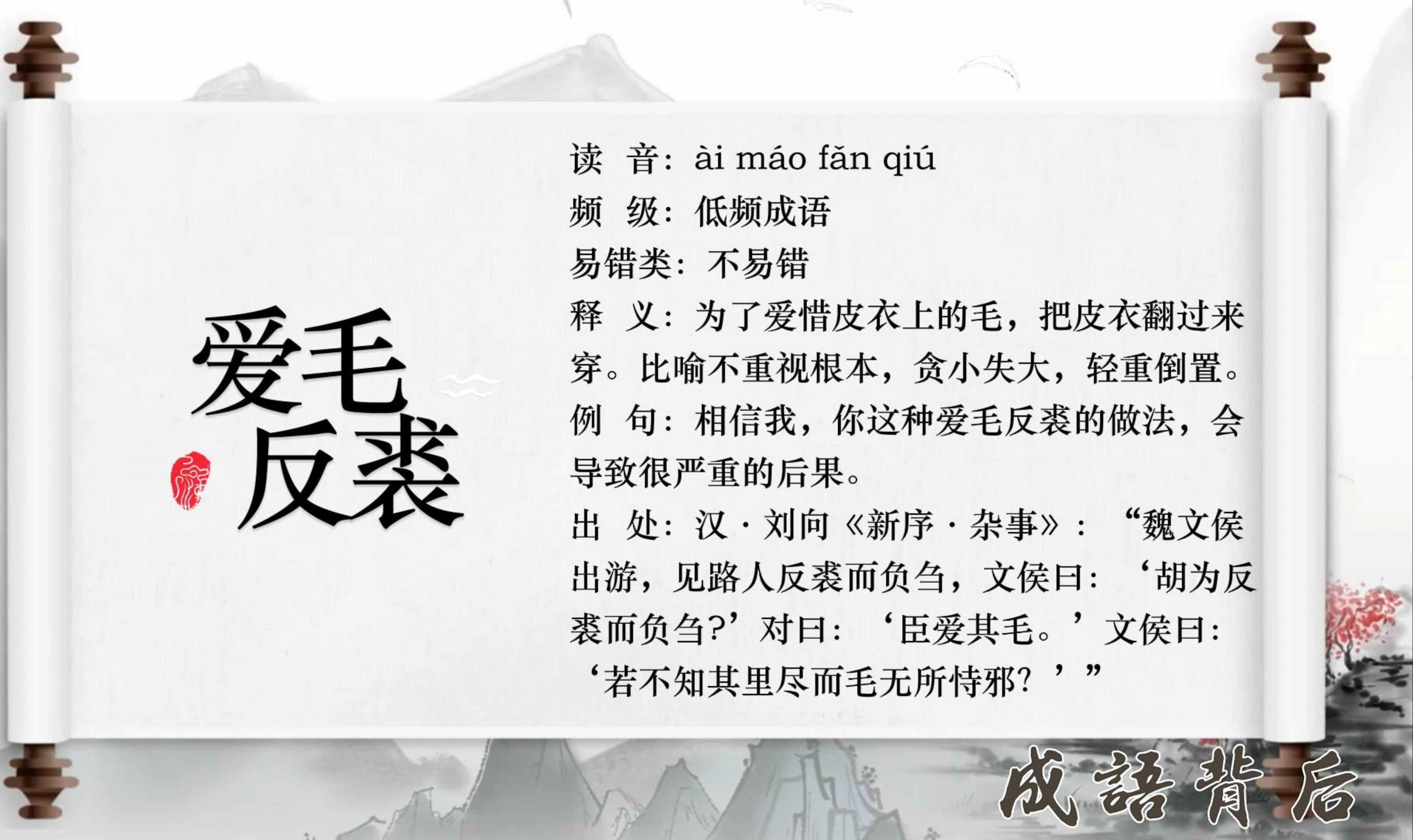 爱毛反裘 B站