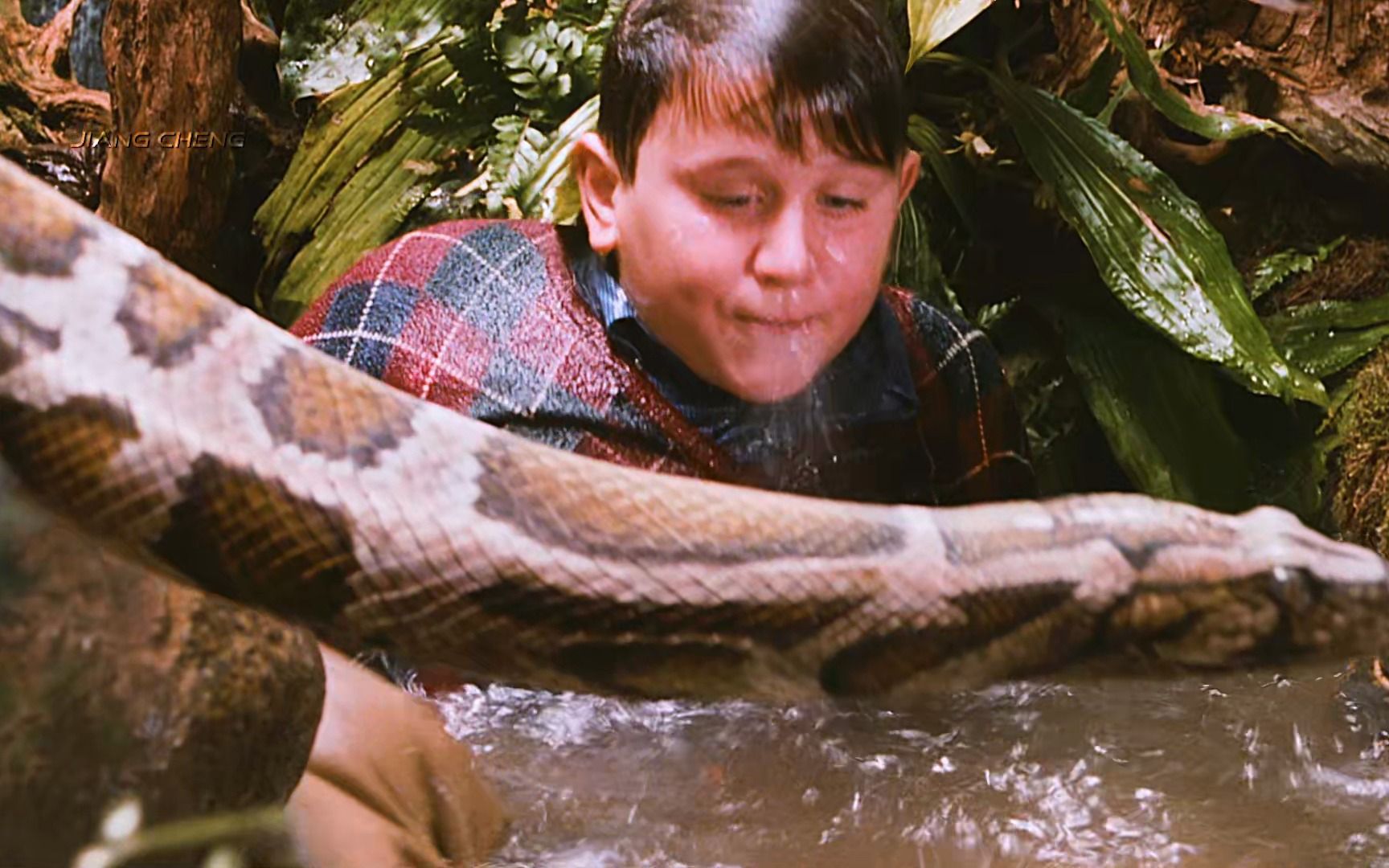 【4k/哈利波特】蛇:感谢大自然的馈赠!