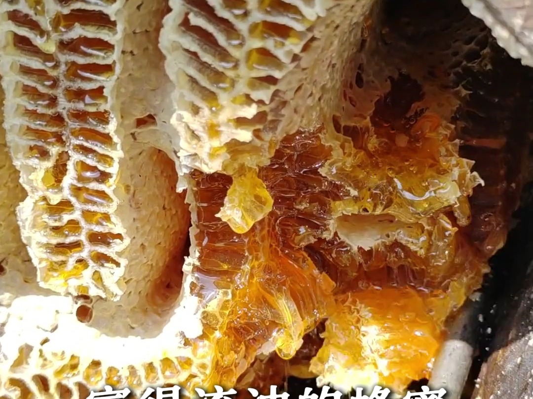 蜂蜜咋样吃(蜂蜜咋样吃通便效果好)