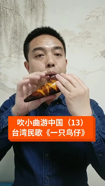 一只鸟仔伴奏图片