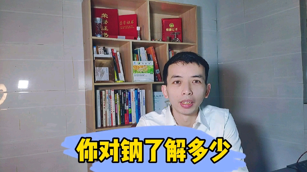 你对钠了解多少哔哩哔哩bilibili