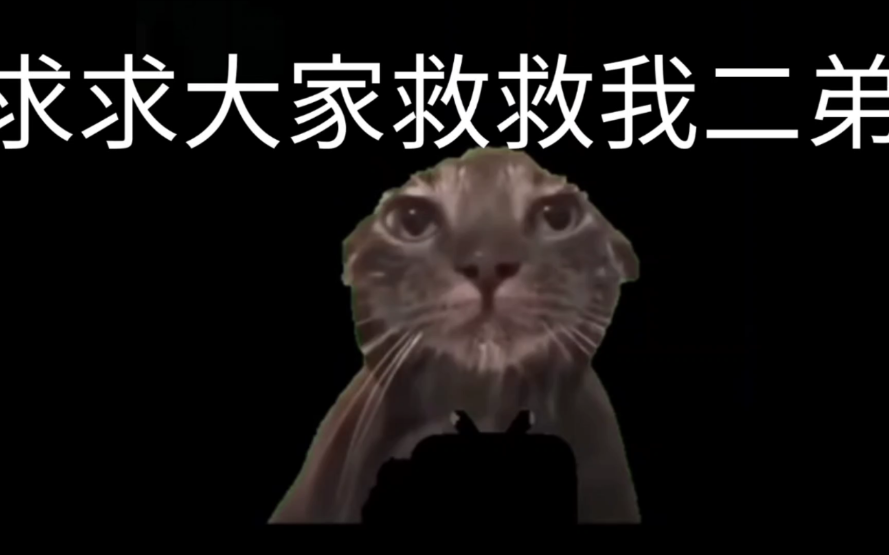 求求大家救救我二弟