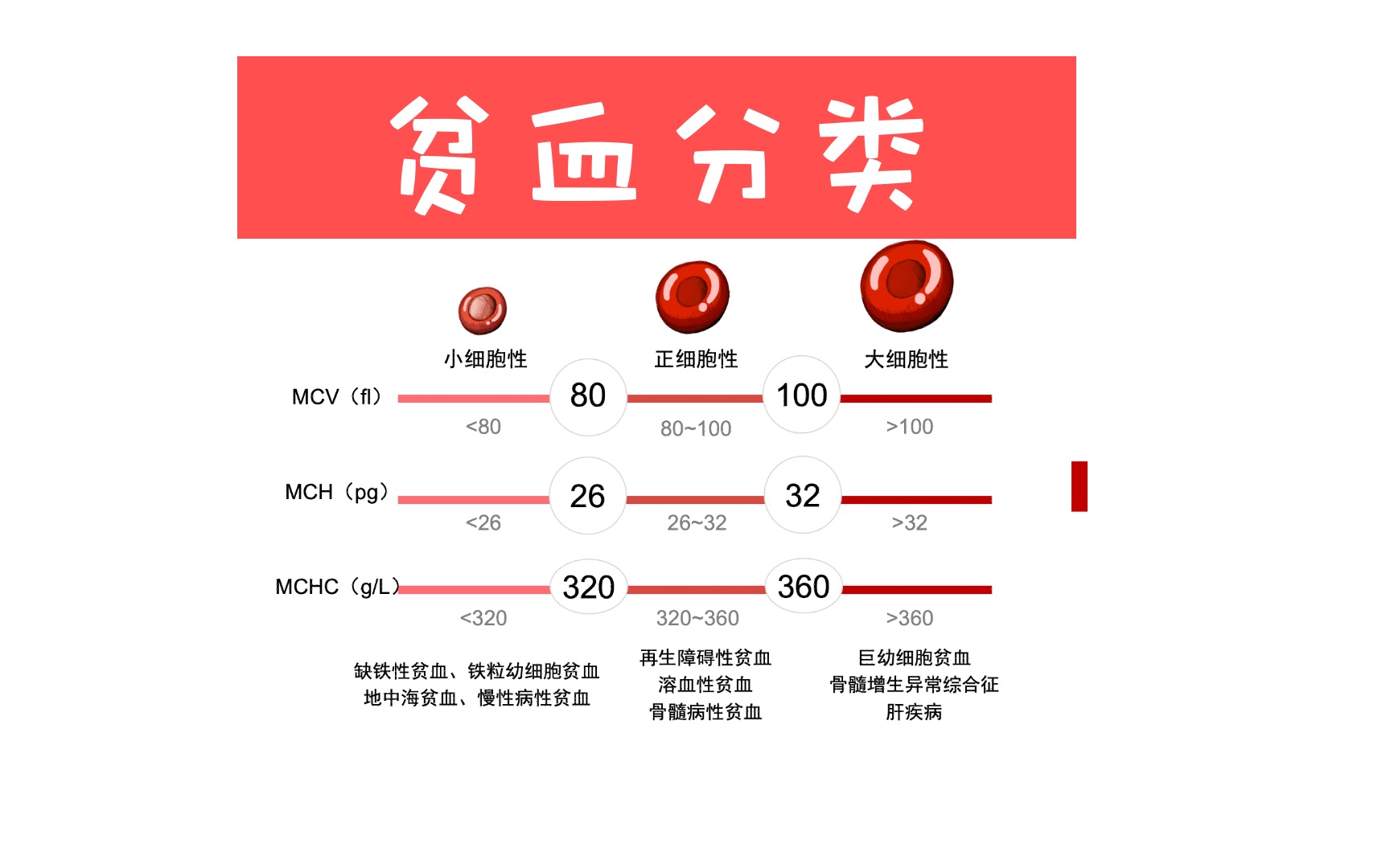 【协和八】一分钟,一张图,为你总结贫血三型分类哔哩哔哩bilibili