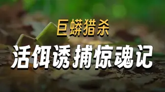 为能捕杀百吨巨蟒，捕蛇队不惜设置各种陷阱《第一集》