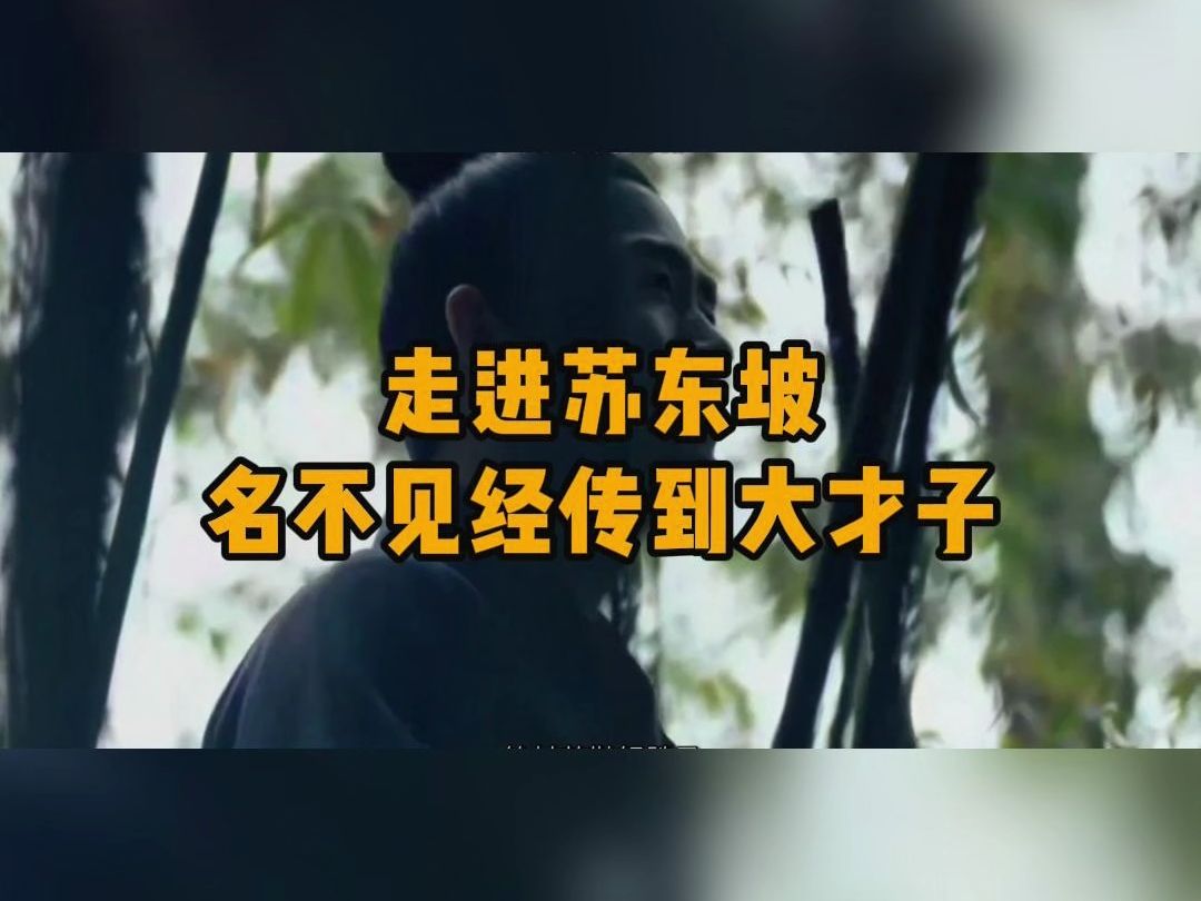 走进苏东坡,从名不见经传的四川小伙到大才子哔哩哔哩bilibili