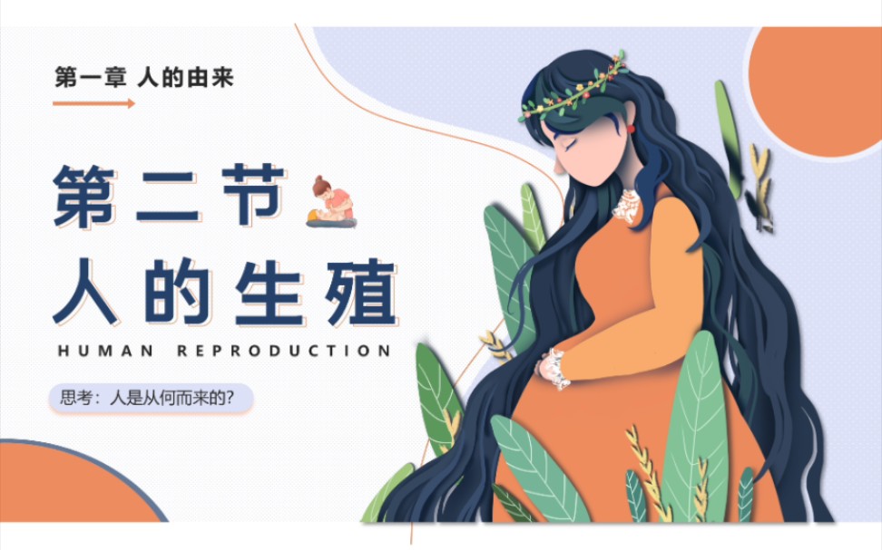 《人的生殖》七下生物课件PPT(人教版)哔哩哔哩bilibili