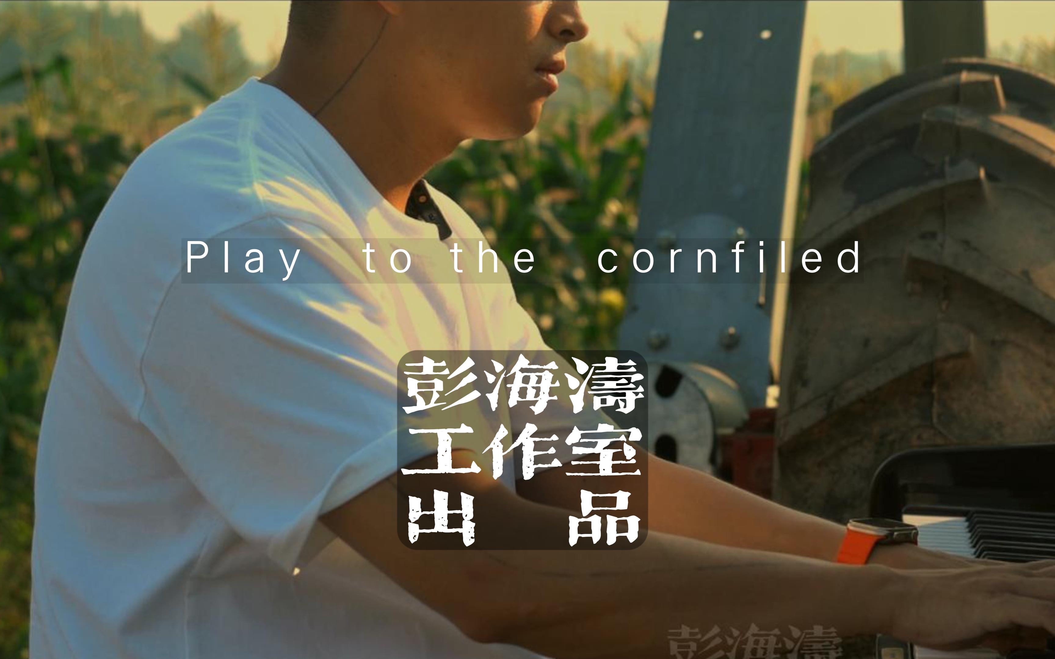 彭海涛工作室,正式官宣《Play to the cornfield》哔哩哔哩bilibili