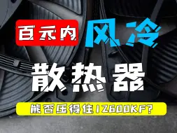 Download Video: 八款百元内散热压12600KF真是测试！到底谁的性价比更高！