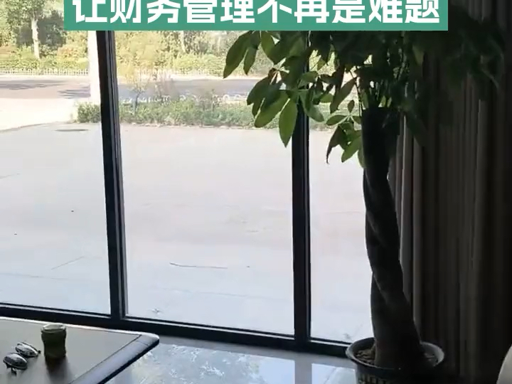 林娜财务工作室,轻松掌握财务记账技巧,让每一笔钱都清清楚楚!财务管理达人必备神器推荐 #专业一对一财务 #财务代理公司#年审报税 #德州代理记账报...