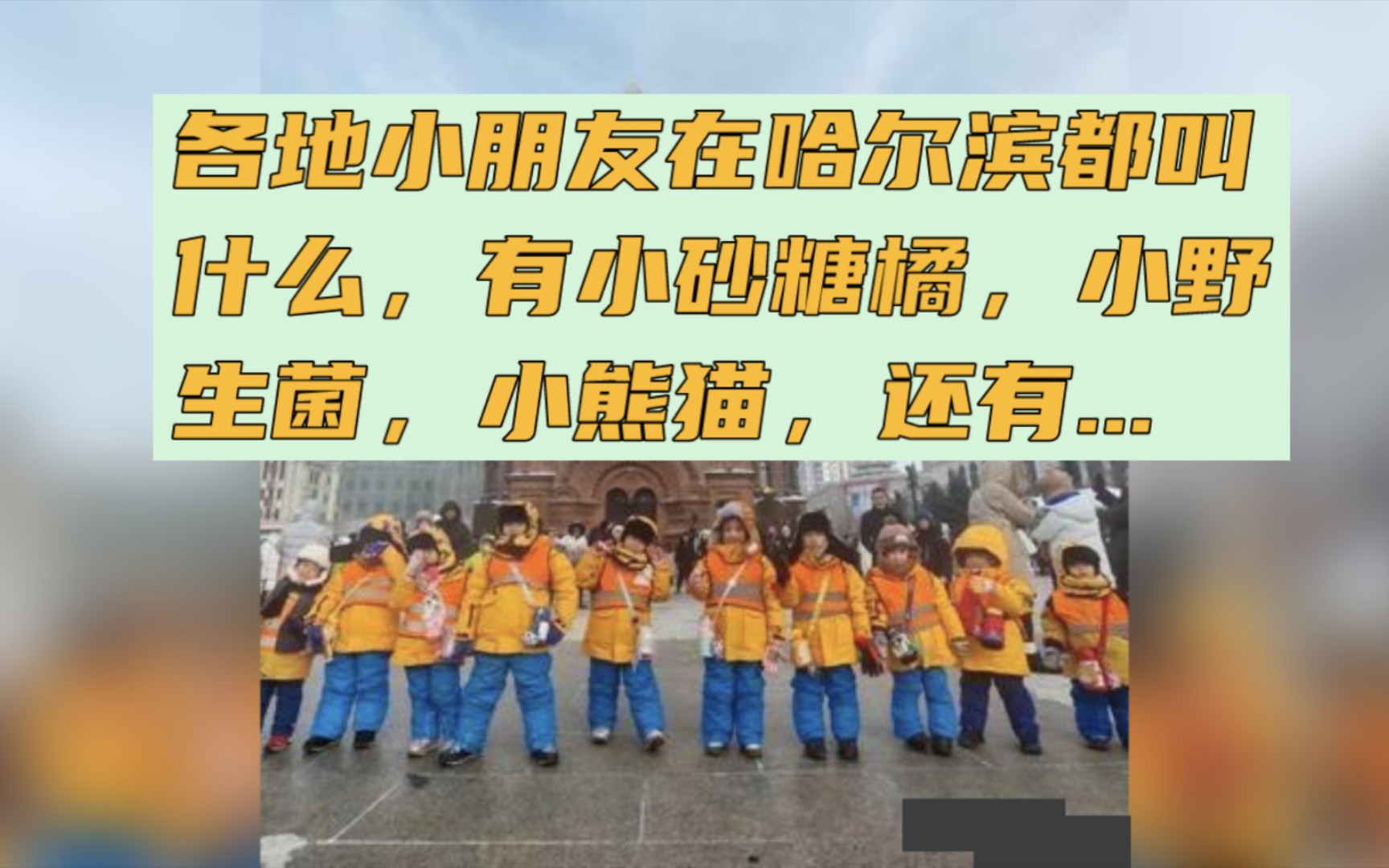 各地小朋友在哈尔滨都叫什么,有小砂糖橘,小野生菌,小熊猫,还有.