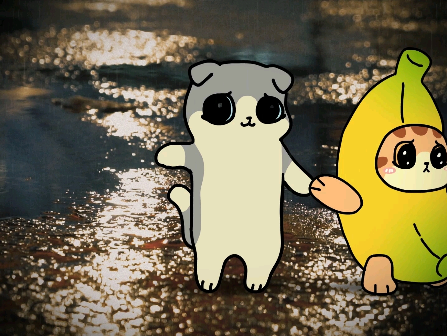 happy猫承诺要给香蕉买婚纱