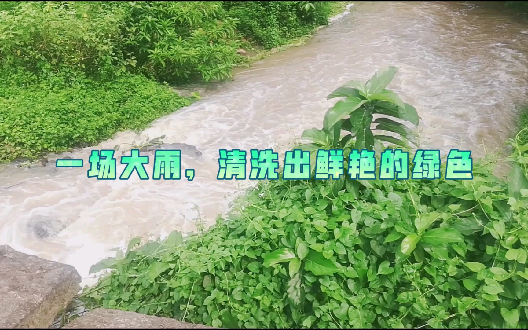 [图]雨停了，还留下的节奏，水与石头的冲击声，还有清洗一遍的绿色