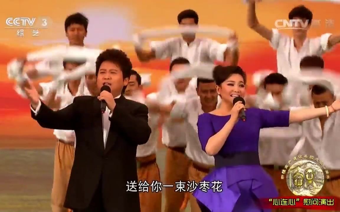 [图]【王莉】【薛皓垠】《送你一束沙枣花》| 2014“心连心”