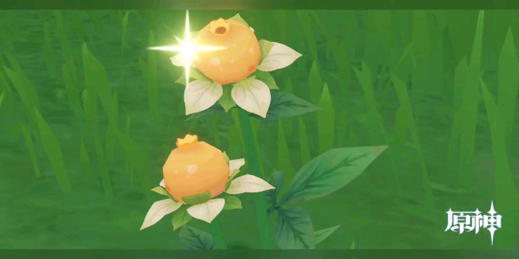 甜甜花甜不过芭芭拉