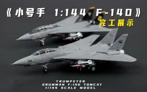 Download Video: 小号手F14D 1/144比例飞机模型 完工展示