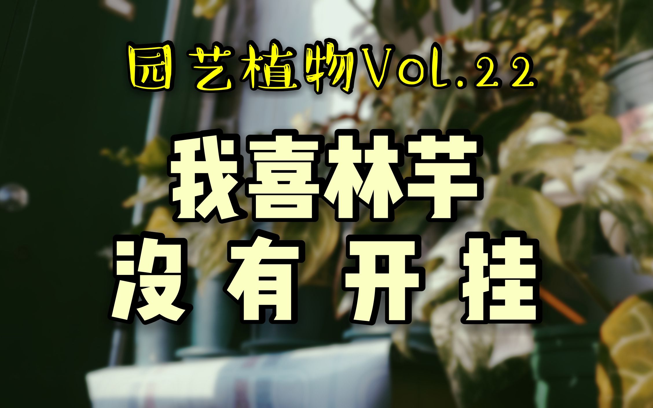 【园艺植物Vol.22】分享几个关于海芋和喜林芋的小技巧哔哩哔哩bilibili