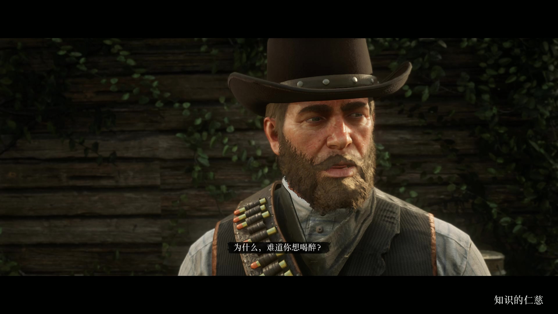 荒野大镖客2亚瑟摩根实录