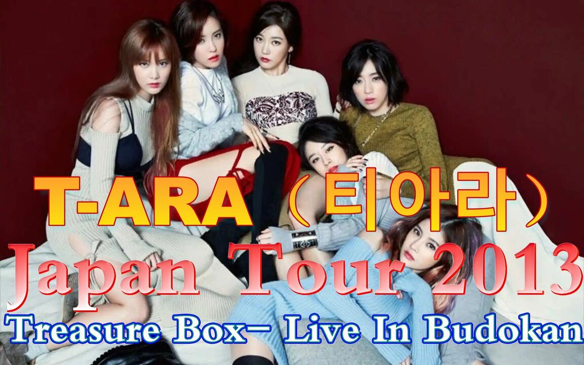 T-ARA Japan Tour 2013【Treasure Box- Live In Budokan】1080P_哔哩哔