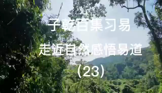 自然之道哔哩哔哩bilibili