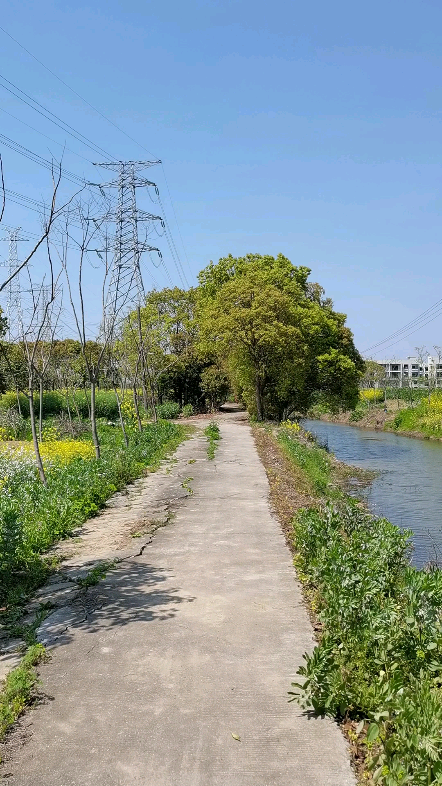 上海市奉贤区临海村上横泾河哔哩哔哩bilibili