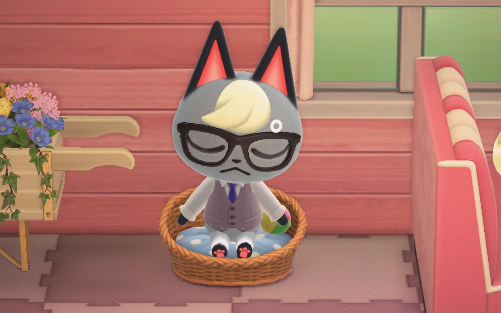 【动森】在路上碰到被蚂蚱吸引的杰克