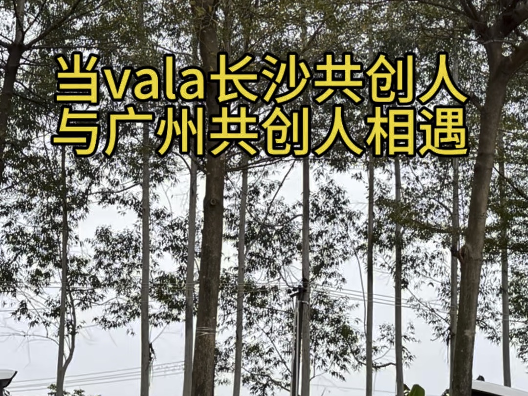 过年当vala长沙共创人与广州共创人相遇,会碰撞出什么样的火花#vala #房车生活#露营车 #过年户外露营#日常vlog哔哩哔哩bilibili