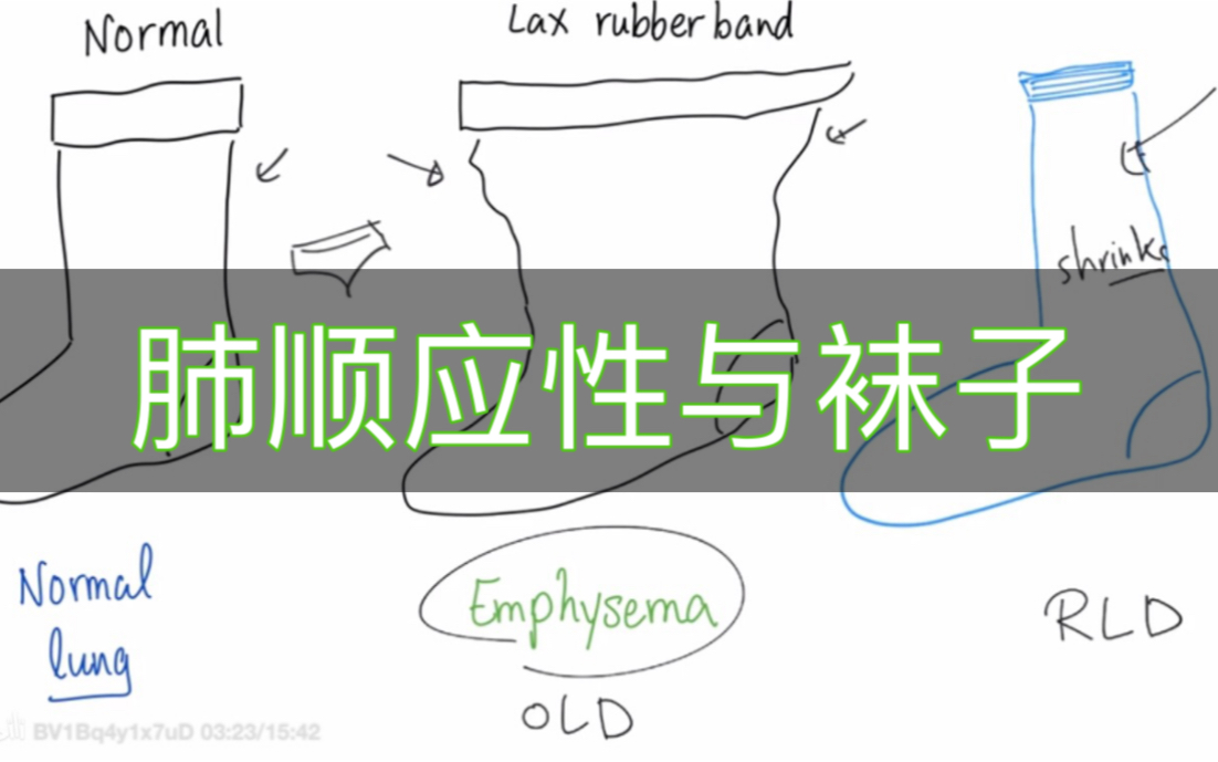 【搬运 中英字幕】肺的顺应性与三只袜子有什么关系? Lung Compliance  Surface Tension  Emphysema哔哩哔哩bilibili