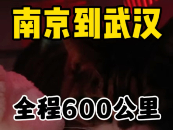 南京到武汉宠物托运,全程600公里.上门接送一只小猫,感谢客户的信任与支持,不负所托,平安到家.哔哩哔哩bilibili