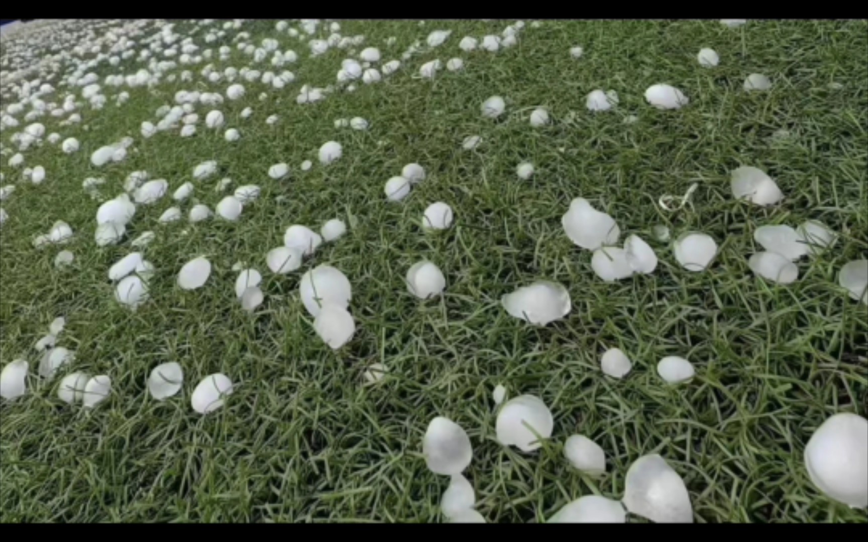 活久见,南方人,长见识了 #南宁冰雹