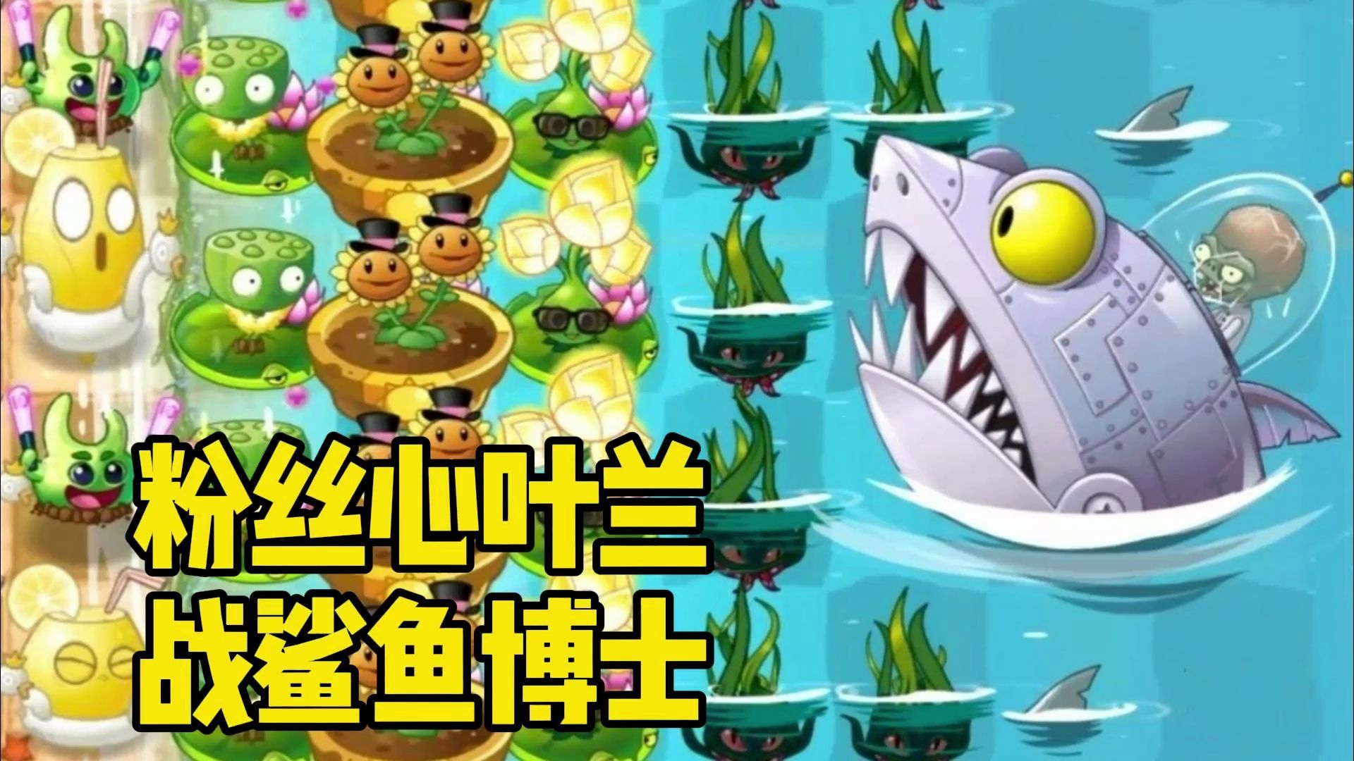 植物大战僵尸2:粉丝心叶兰大战鲨鱼博士!