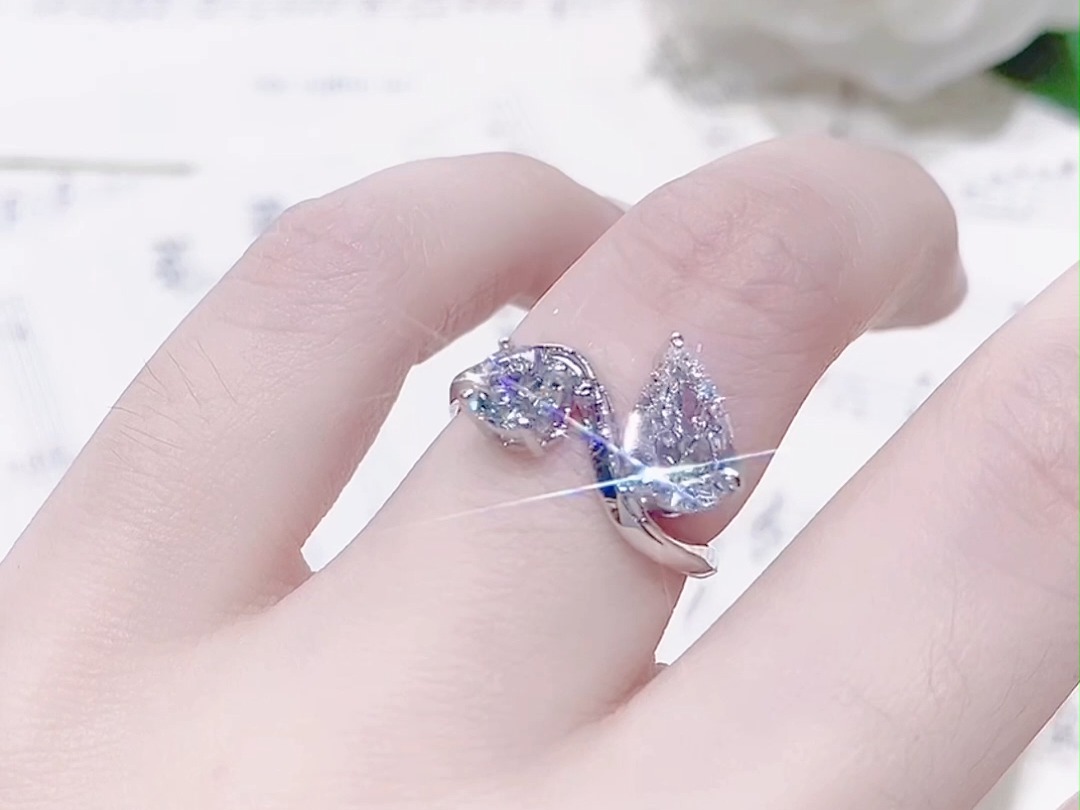 双钻钻戒具有丰富的寓意和象征