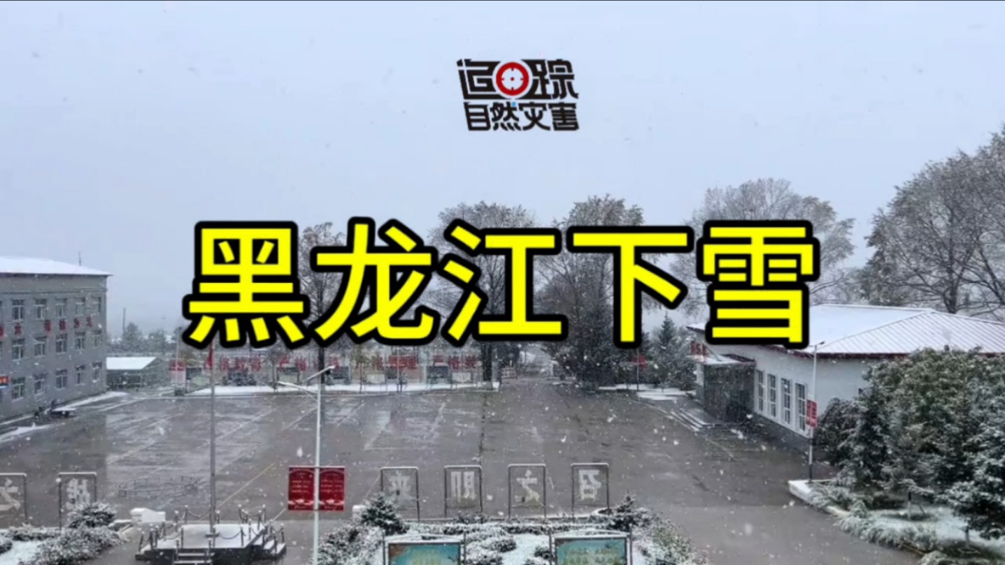 黑龙江下雪了,当地人“一声不吭”太让人羡慕哔哩哔哩bilibili