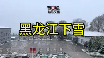 下载视频: 黑龙江下雪了，当地人“一声不吭”太让人羡慕