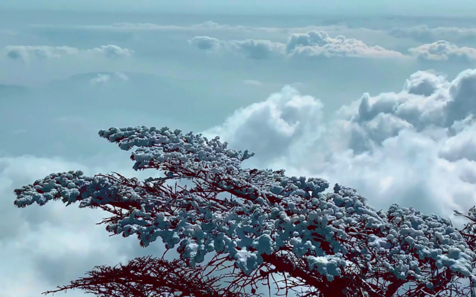 峨眉山 半山雾下 金顶光霞