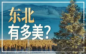 Video herunterladen: 东北到底可以有多美？【4K+航拍】