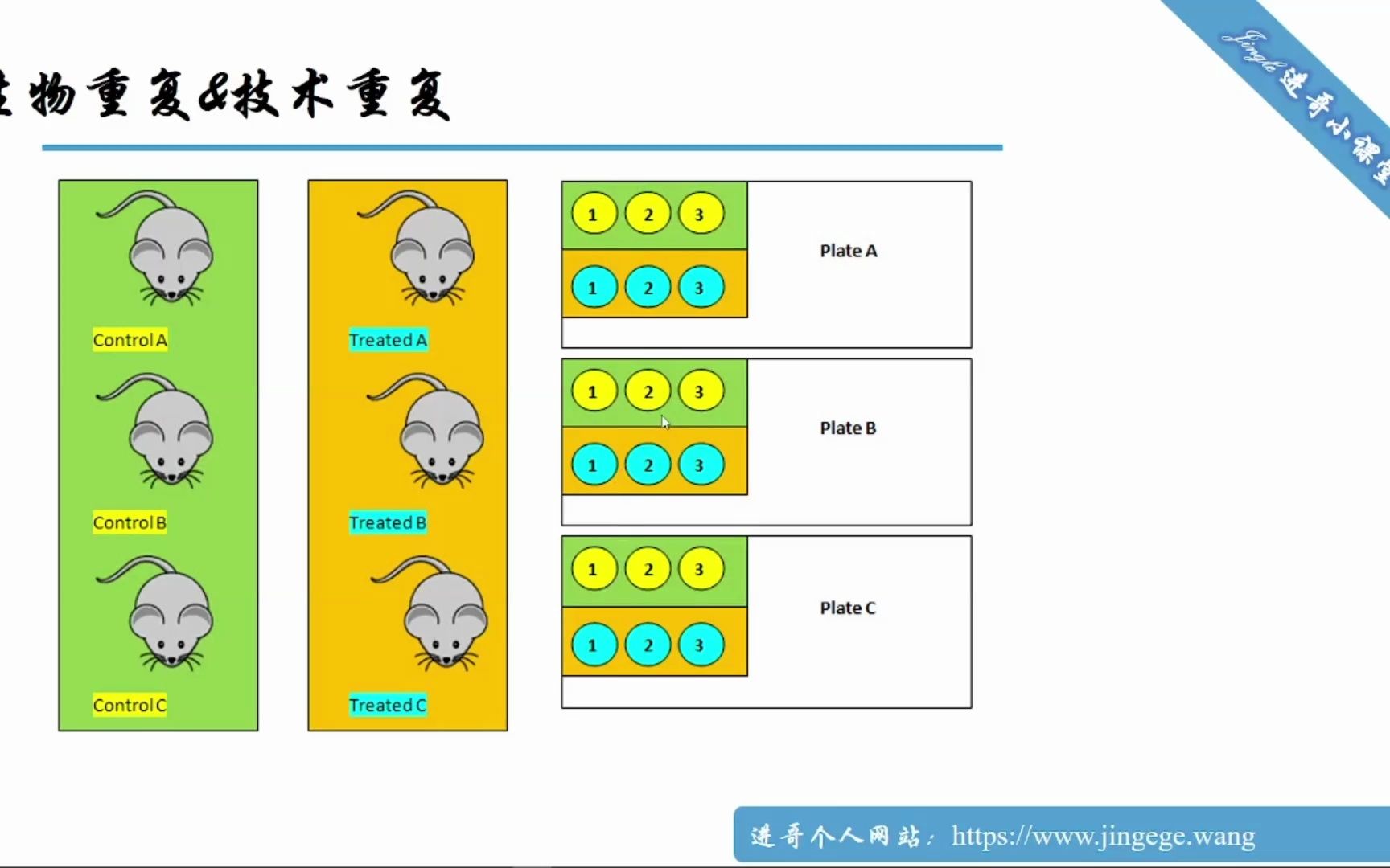 qPCR中的生物重复和技术重复与结果计算方法(细胞&组织)哔哩哔哩bilibili