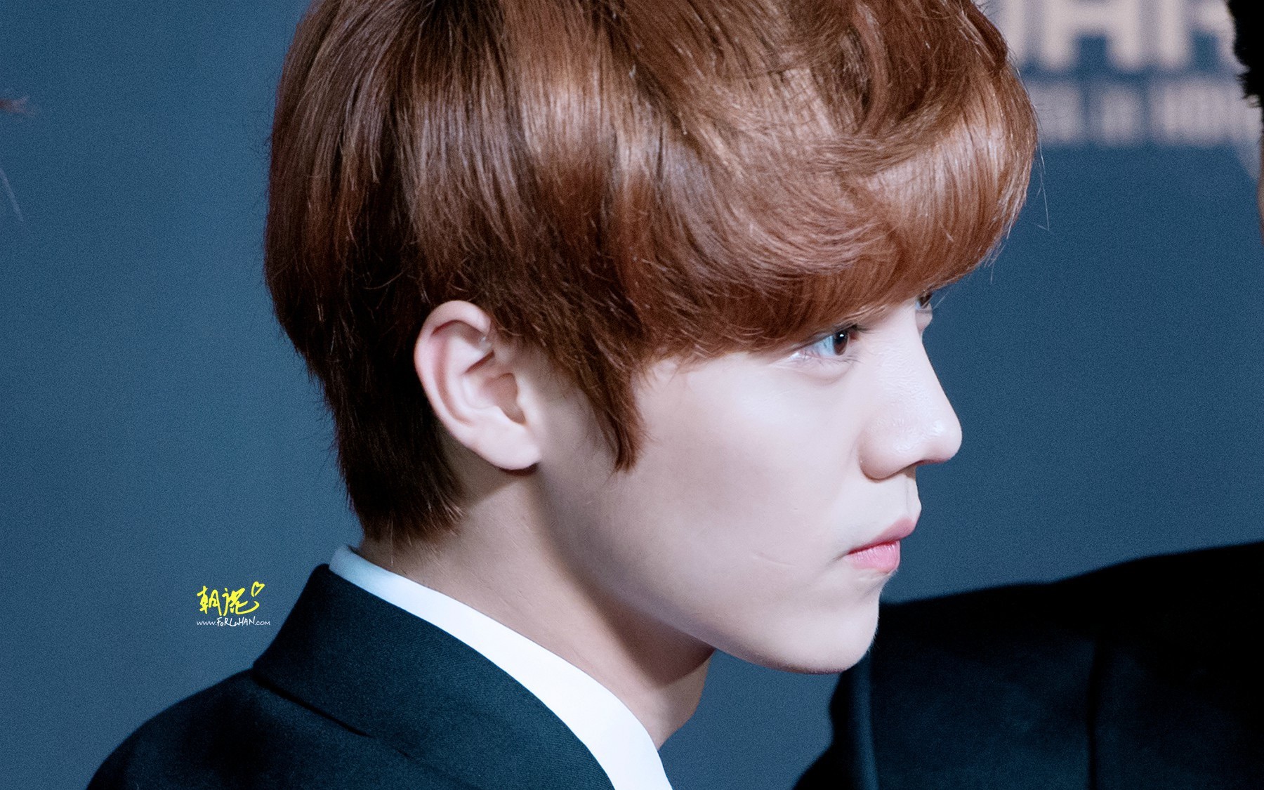 鹿晗饭拍 131122 mama红毯 by two moons_哔哩哔哩_bilibili