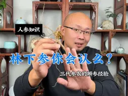 Download Video: 买人参总上当？看完这个视频辨参能提高到50分