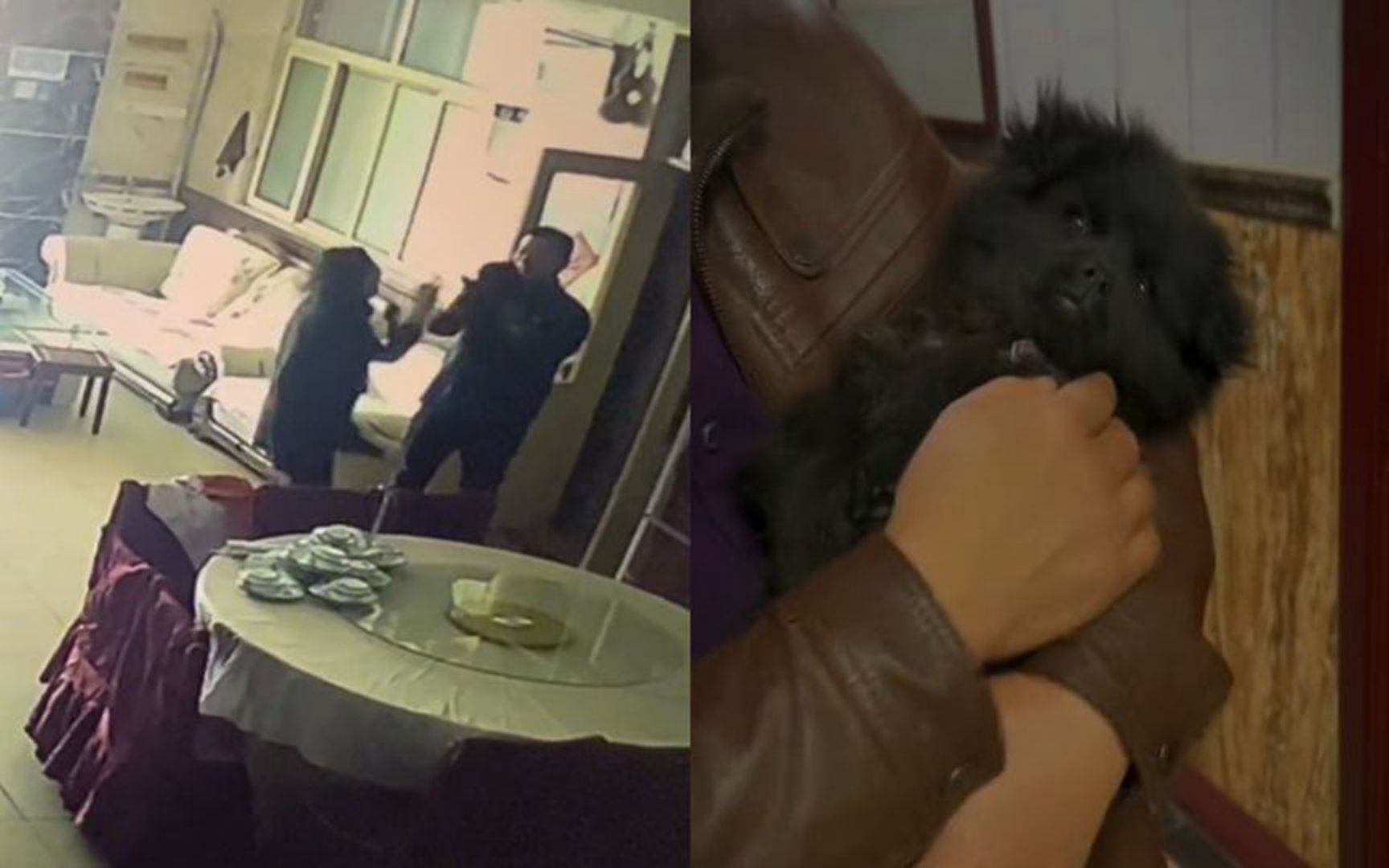 狗狗走丢6天,突然一路狂奔着跑回家,主人激动到原地蹦起:瘦了