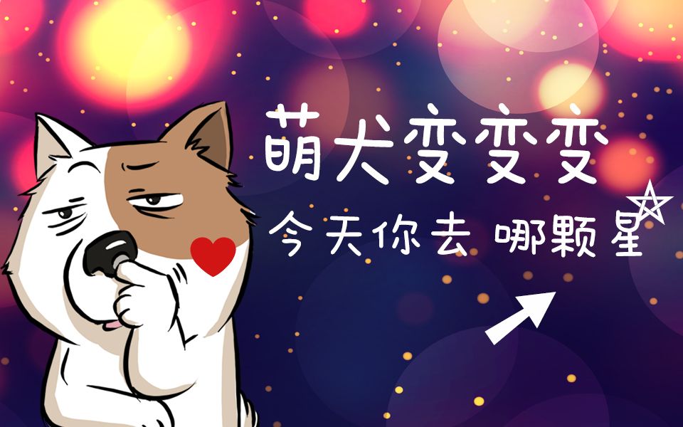 萌犬变变变——今天你去那颗星【杀时间利器】哔哩哔哩bilibili