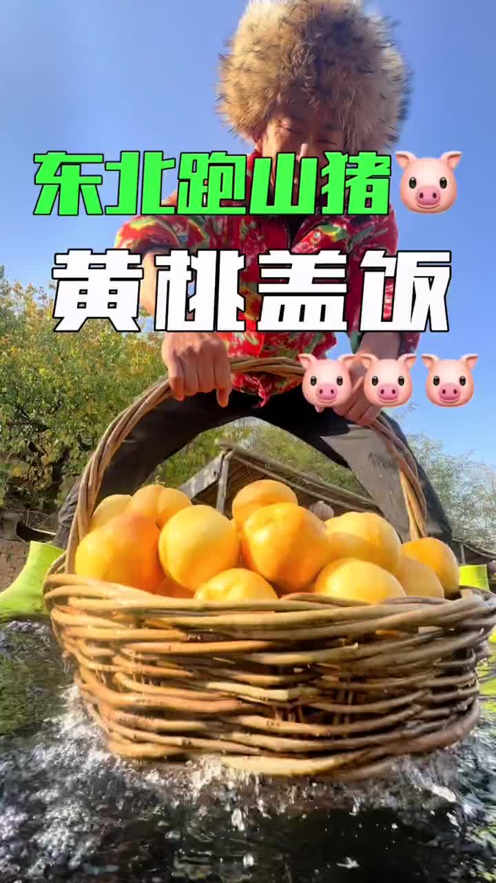 秋收的喜悦给猪加餐哔哩哔哩bilibili