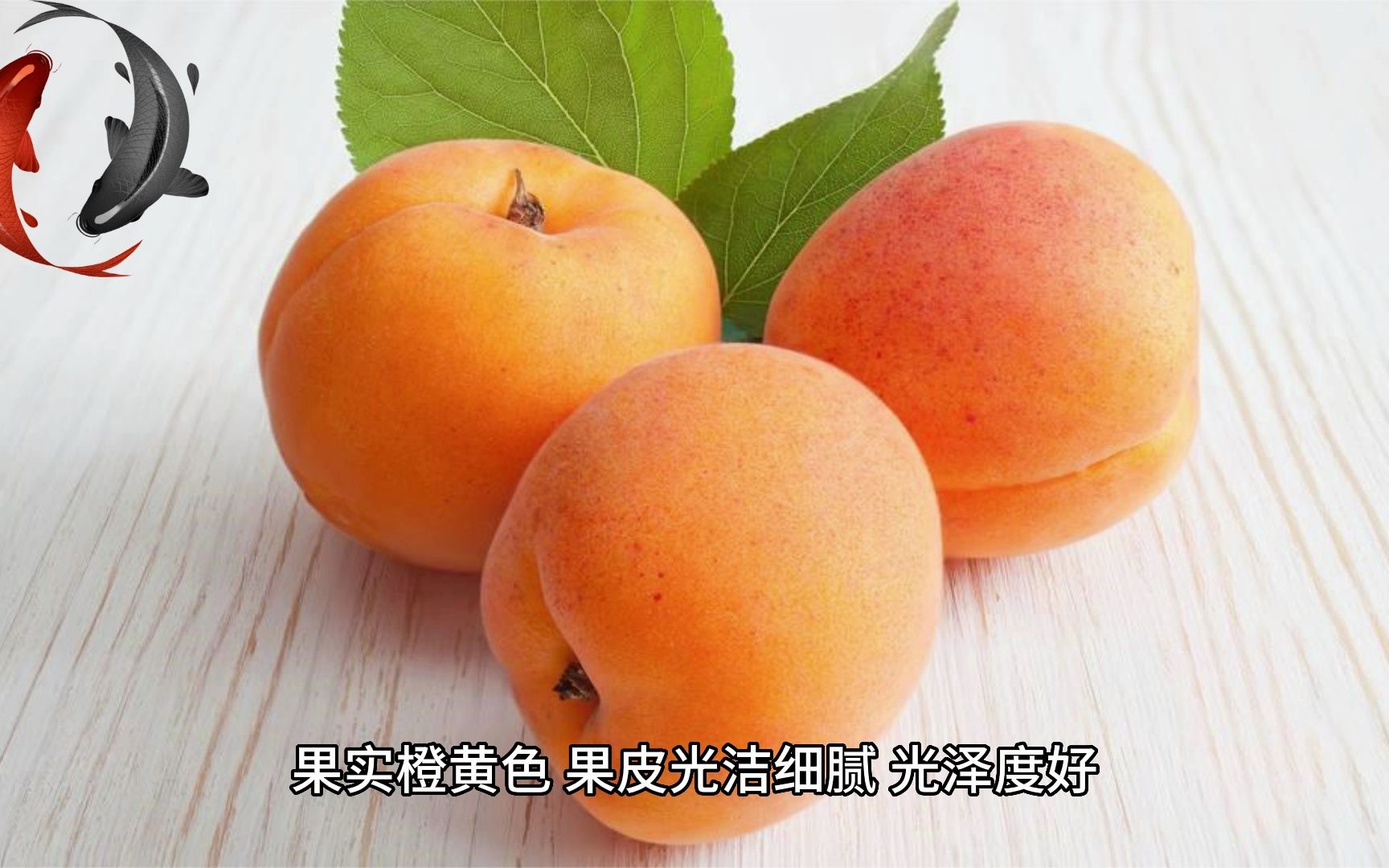 这个水果你肯定没有吃过,武当榔梅果