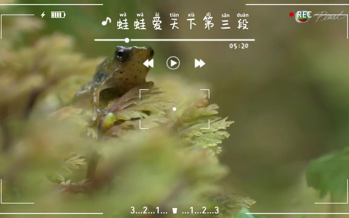 蛙蛙爱天下第三段哔哩哔哩bilibili