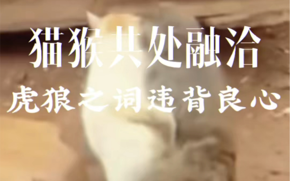 动物园不作为,人心的社会他怎么敢违背良心.