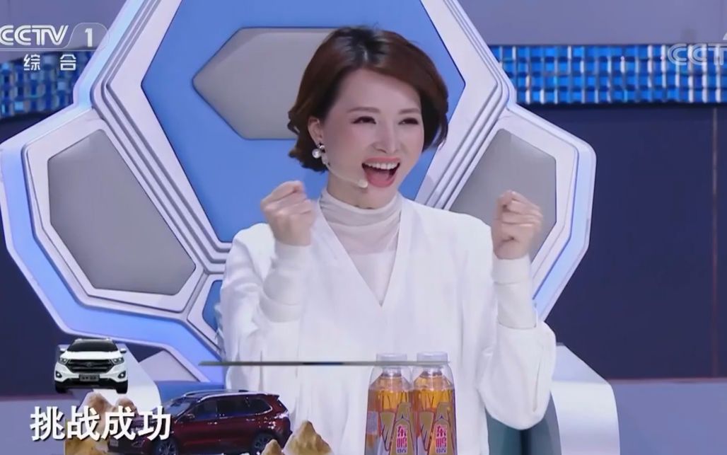 【董卿】2017 挑战 不可能 1119 董卿cut_哔哩哔哩 (゜-゜)つロ 干杯