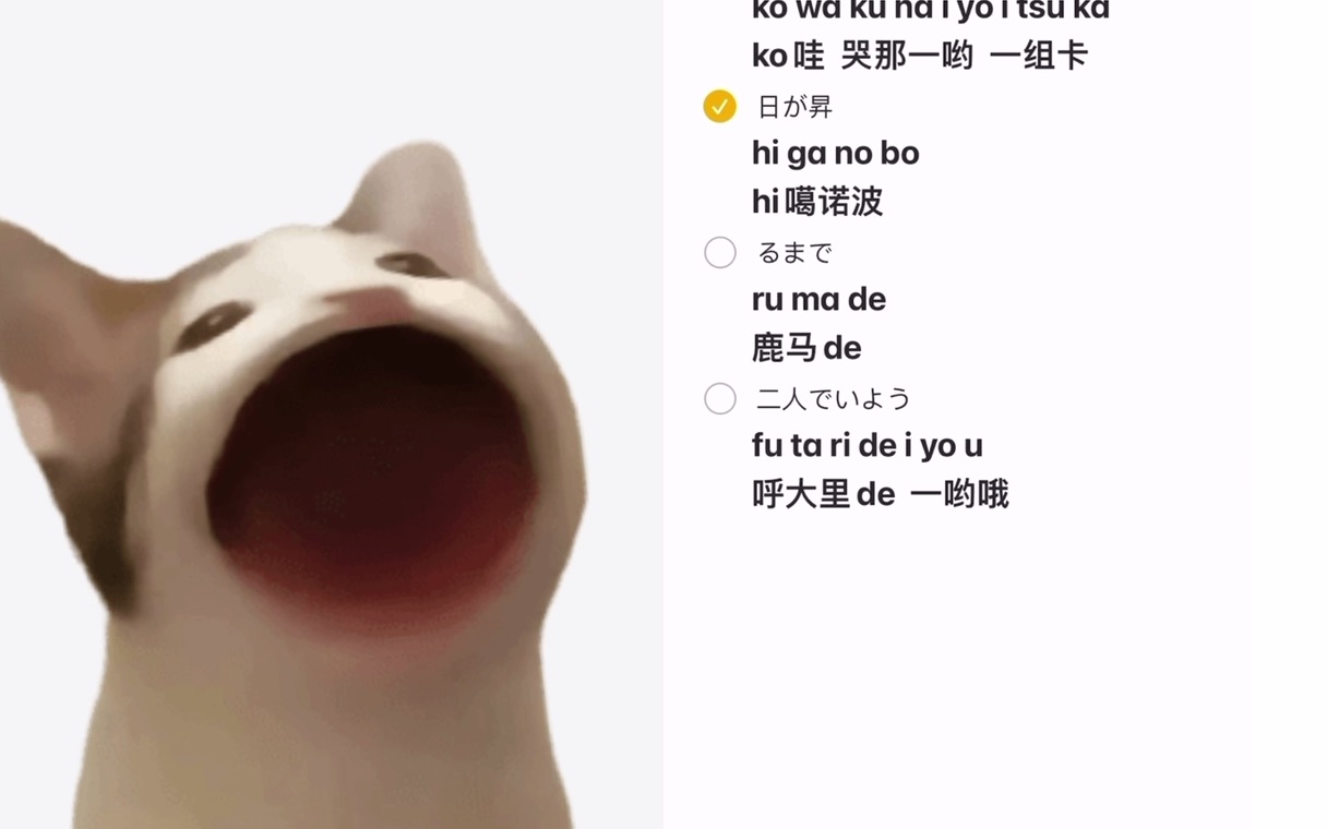 popo猫但夜に駆ける